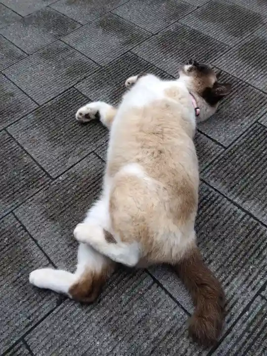 大林寺(兵庫県)