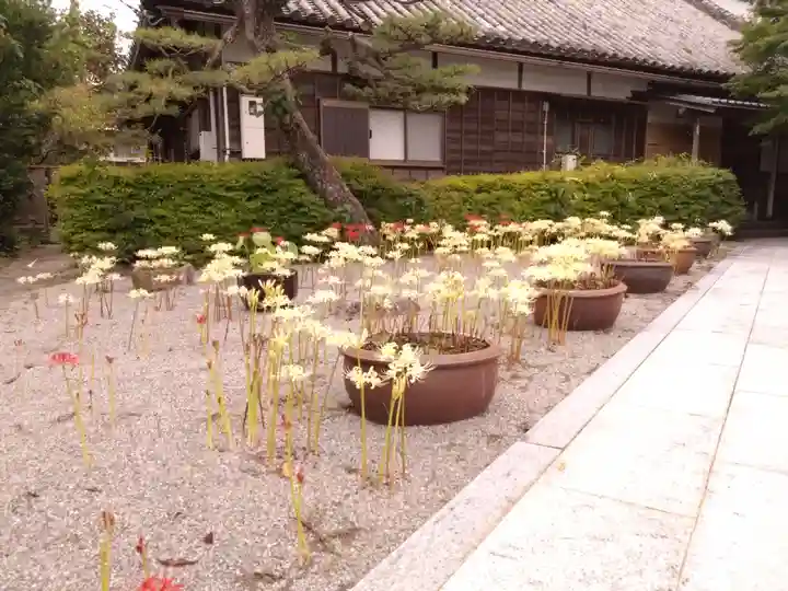 来迎寺(三重県)