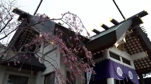 烈々布神社の本殿