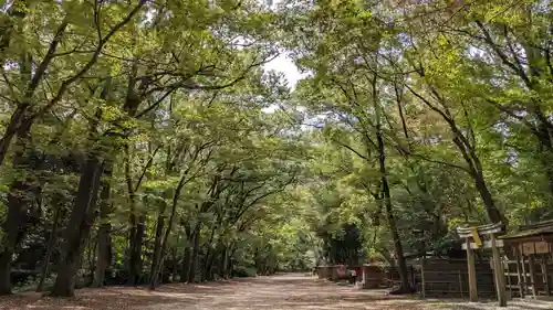 賀茂御祖神社（下鴨神社）の自然