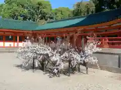 平安神宮のおみくじ