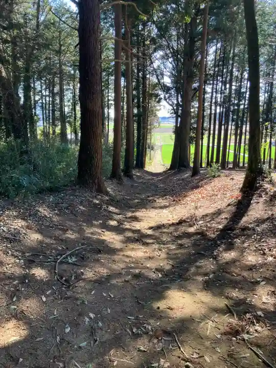 住吉四所神社の{uncategorized: "未分類", other: "その他", undefined: "問題あり", building: "その他建物", grave: "お墓", sacred_gate: "鳥居", guardian: "狛犬", statue: "像", buddha: "仏像", history: "歴史", nature: "自然", garden: "庭園", animal: "動物", pagoda: "塔", temizu: "手水舎", mountain_gate: "山門・神門", sanctuary: "本殿・本堂", subordinate: "末社・摂社", art: "芸術", scenery: "景色", jizo: "地蔵", ema: "絵馬", goshuin: "御朱印", omikuji: "おみくじ", items: "授与品その他", amulet: "お守り", goshuincho: "御朱印帳", eats: "食事", festival: "お祭り", votive_dance: "神楽", shichigosan: "七五三参", wedding: "結婚式", experience: "体験その他", initially: "初詣", around: "周辺", anti_infection: "感染症対策"}