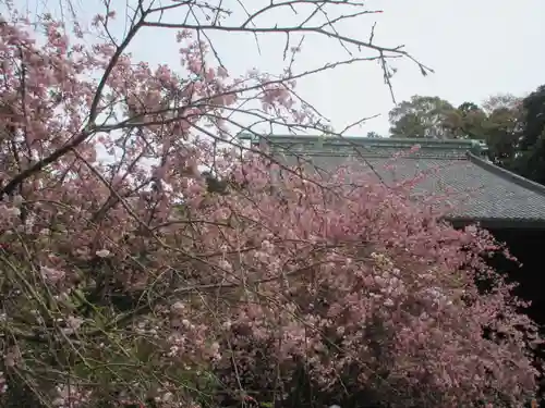 妙本寺のその他建物