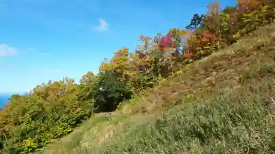 手稲神社奥宮の自然