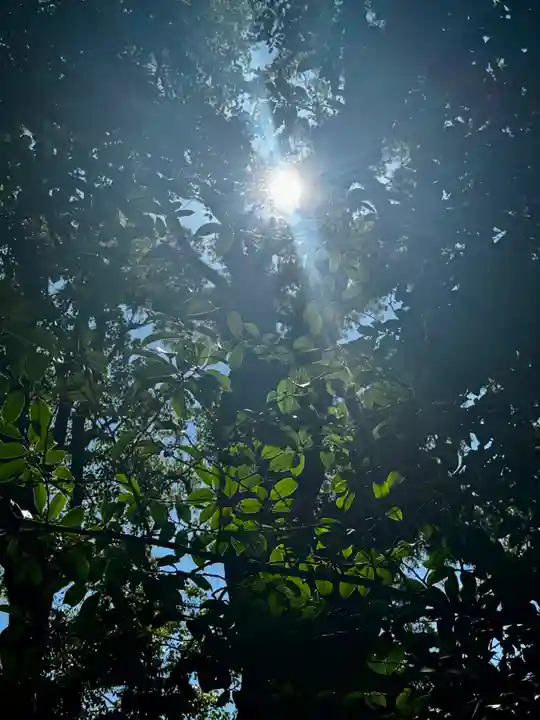 鹿児島神宮(鹿児島県)