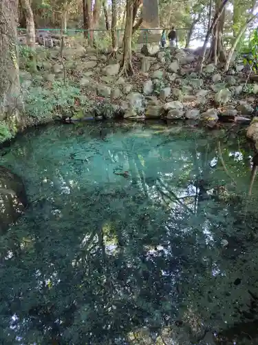 泉神社(茨城県)