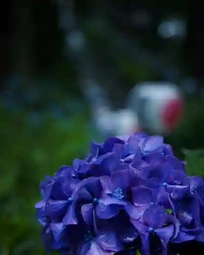 磯山神社(栃木県)