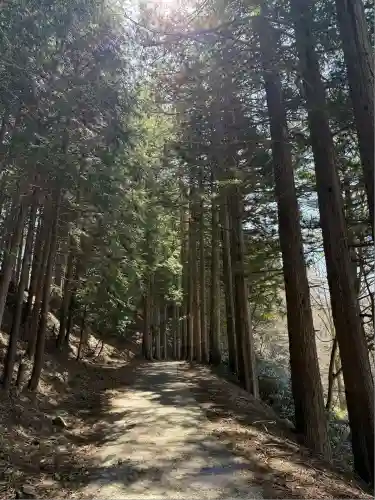 三峯神社(埼玉県)