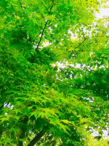 女化神社の庭園