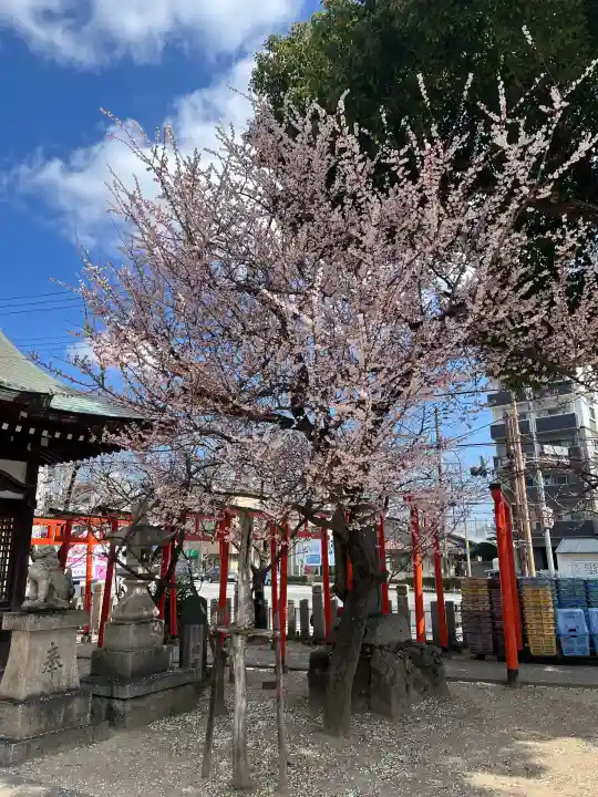 粟津天満神社の{uncategorized: "未分類", other: "その他", undefined: "問題あり", building: "その他建物", grave: "お墓", sacred_gate: "鳥居", guardian: "狛犬", statue: "像", buddha: "仏像", history: "歴史", nature: "自然", garden: "庭園", animal: "動物", pagoda: "塔", temizu: "手水舎", mountain_gate: "山門・神門", sanctuary: "本殿・本堂", subordinate: "末社・摂社", art: "芸術", scenery: "景色", jizo: "地蔵", ema: "絵馬", goshuin: "御朱印", omikuji: "おみくじ", items: "授与品その他", amulet: "お守り", goshuincho: "御朱印帳", eats: "食事", festival: "お祭り", votive_dance: "神楽", shichigosan: "七五三参", wedding: "結婚式", experience: "体験その他", initially: "初詣", around: "周辺", anti_infection: "感染症対策"}
