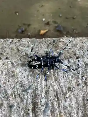 歓喜院(茨城県)