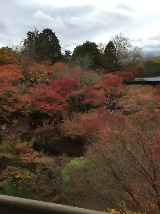 東福禅寺(東福寺)の自然