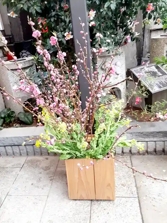 波除神社(波除稲荷神社)(東京都)