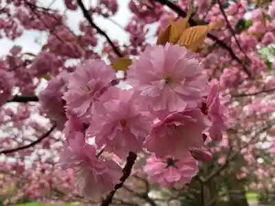 種月寺(新潟県)