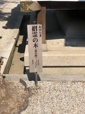 大将軍八神社(京都府)