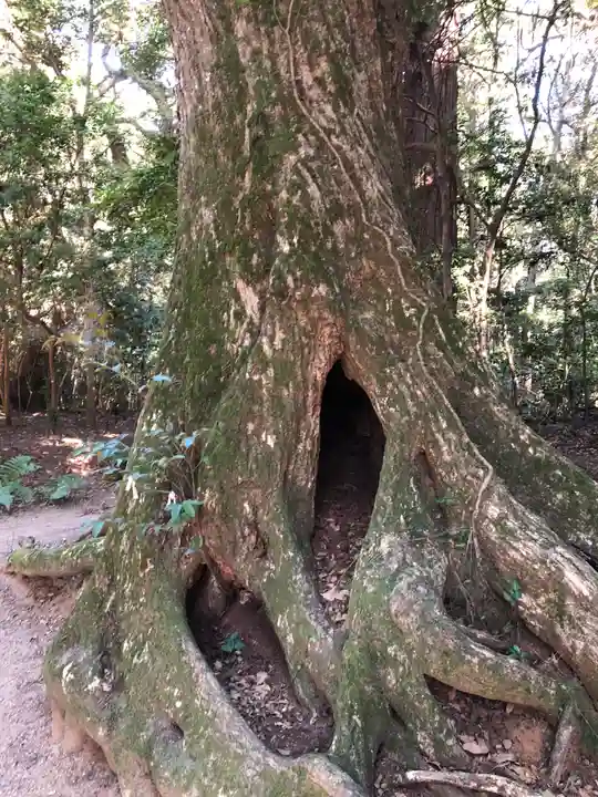 鹿島神宮の自然