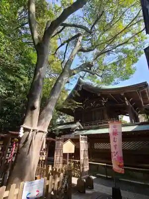 琴崎八幡宮の本殿・本堂