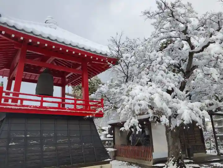 大蔵院(群馬県)