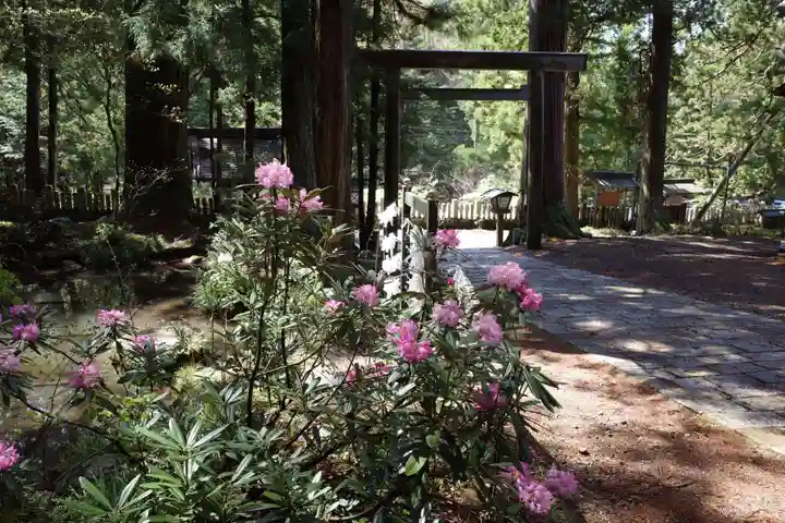 仁科神明宮(長野県)