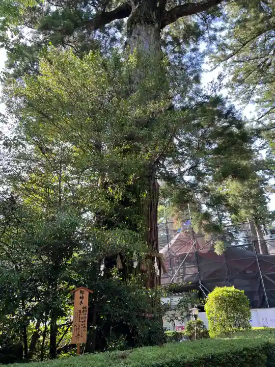 香取神宮(千葉県)