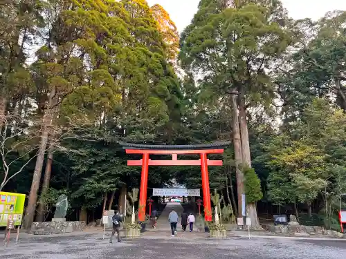 霧島神宮の鳥居