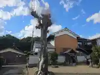 国源寺(大窪寺跡)(奈良県)