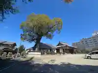 福徳寺(大阪府)