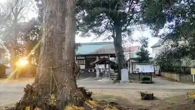 天照神社(千葉県)