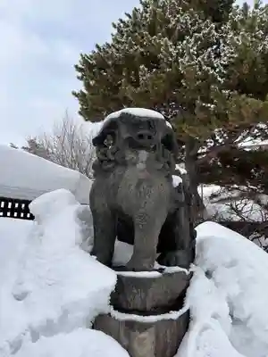 札幌護國神社の狛犬