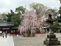 大國魂神社(東京都)