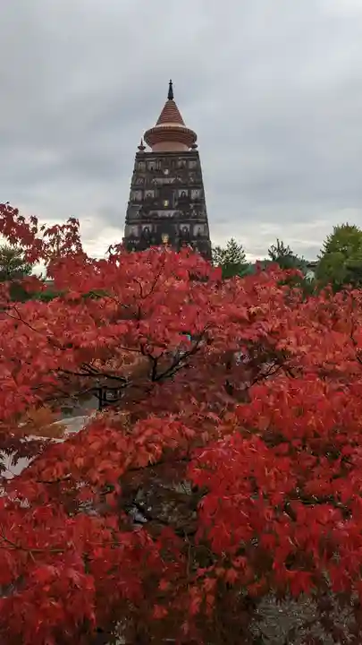 妙満寺(京都府)