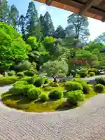 曼殊院門跡(京都府)