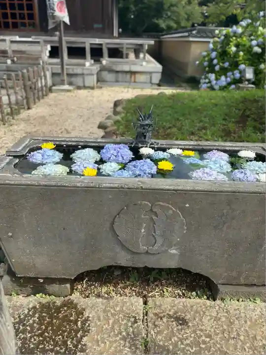 東漸寺(千葉県)