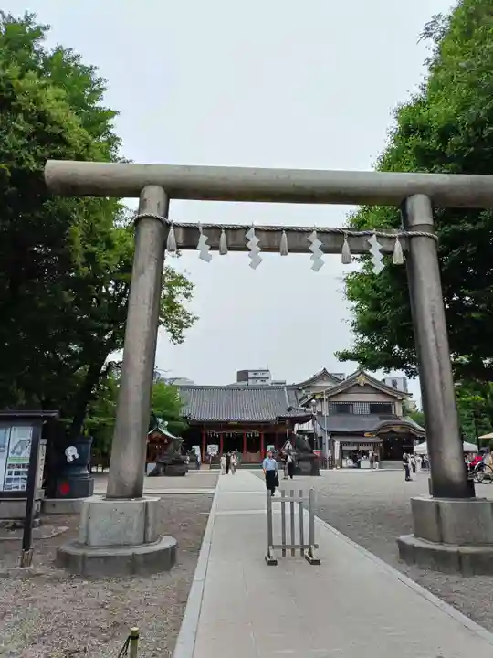 浅草神社の鳥居