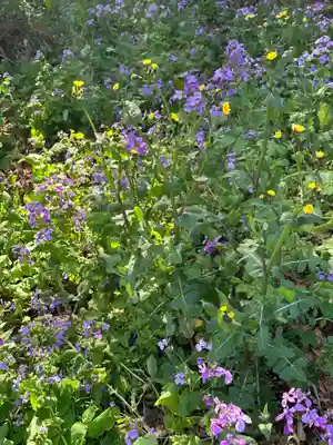 八幡神社(神奈川県)