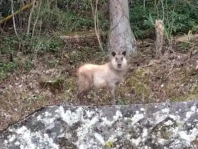 宗猷寺(岐阜県)