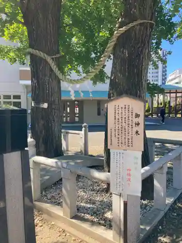 千住神社(東京都)