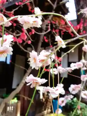 玄国寺(東京都)