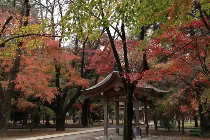 平林寺(埼玉県)
