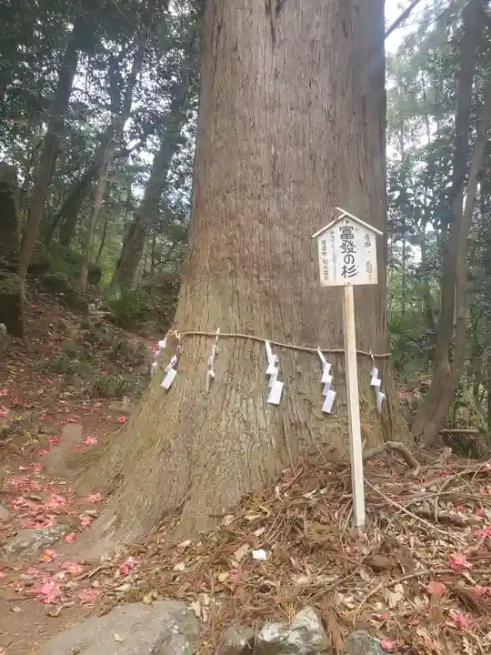 姥宮神社のその他建物