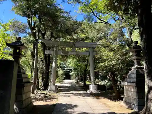 赤坂氷川神社の鳥居