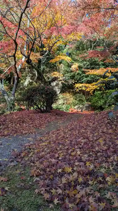 法金剛院(京都府)