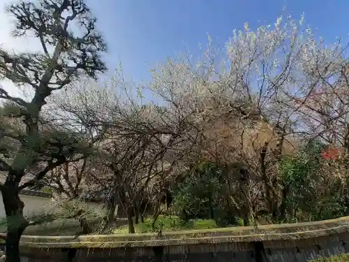 光雲寺の{uncategorized: "未分類", other: "その他", undefined: "問題あり", building: "その他建物", grave: "お墓", sacred_gate: "鳥居", guardian: "狛犬", statue: "像", buddha: "仏像", history: "歴史", nature: "自然", garden: "庭園", animal: "動物", pagoda: "塔", temizu: "手水舎", mountain_gate: "山門・神門", sanctuary: "本殿・本堂", subordinate: "末社・摂社", art: "芸術", scenery: "景色", jizo: "地蔵", ema: "絵馬", goshuin: "御朱印", omikuji: "おみくじ", items: "授与品その他", amulet: "お守り", goshuincho: "御朱印帳", eats: "食事", festival: "お祭り", votive_dance: "神楽", shichigosan: "七五三参", wedding: "結婚式", experience: "体験その他", initially: "初詣", around: "周辺", anti_infection: "感染症対策"}