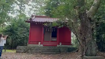 荒嶋神社(宮城県)