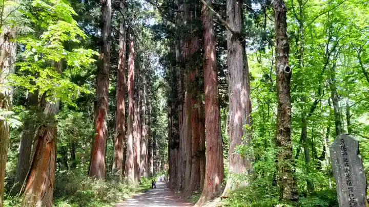 戸隠神社九頭龍社(長野県)