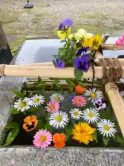 今市報徳二宮神社の手水