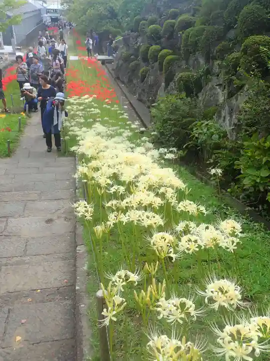 横浜 西方寺(神奈川県)