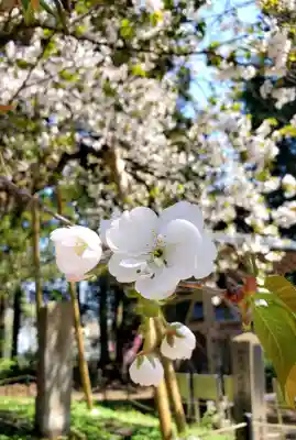 法用寺（雀林観音）(福島県)