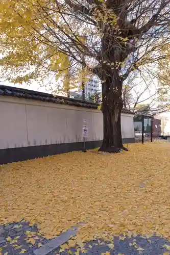 本法寺(京都府)