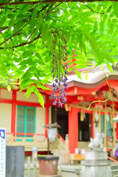 戸部杉山神社(神奈川県)